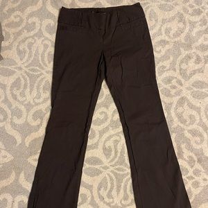 The Limited Dress Pants